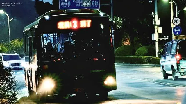 800BUS