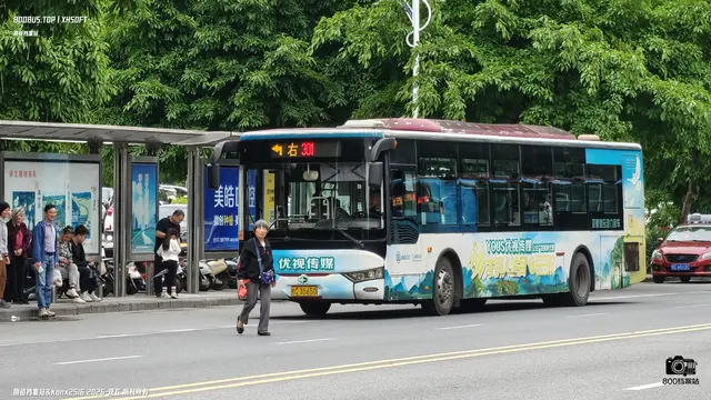 800BUS