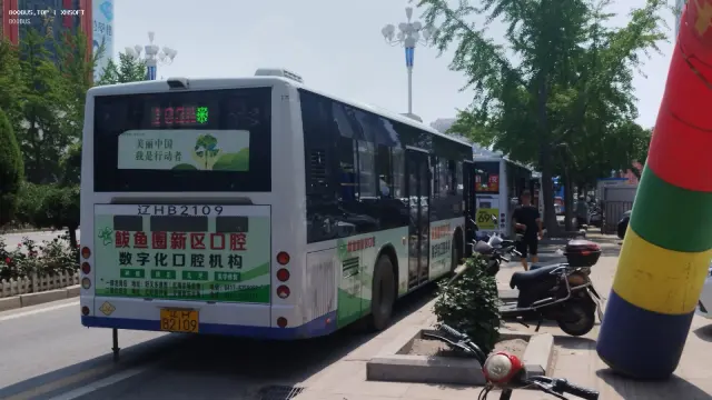 800BUS