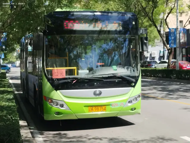 800BUS