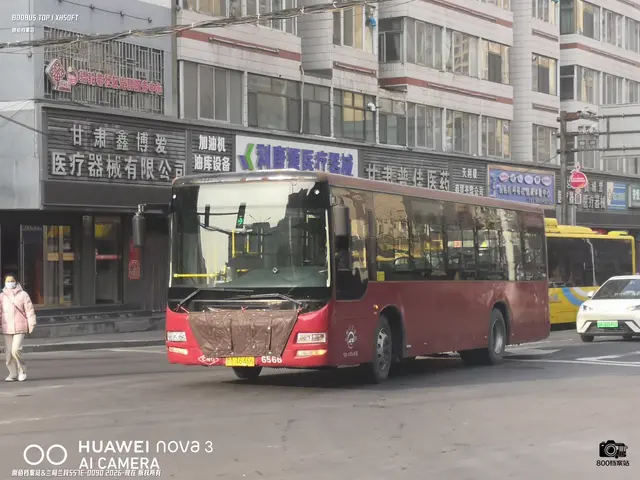 800BUS