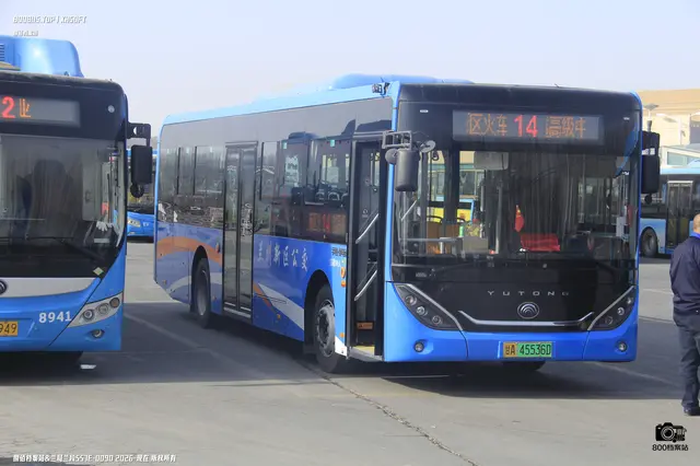 800BUS