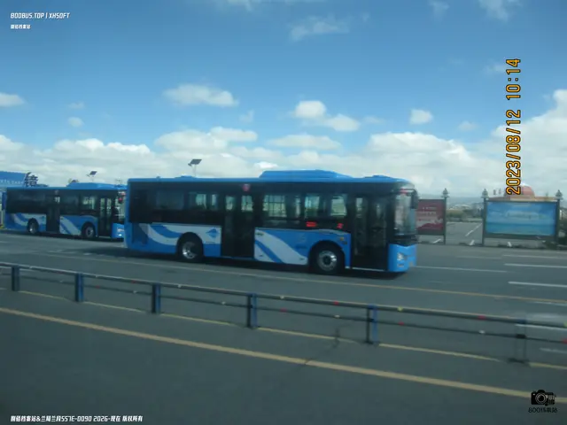 800BUS