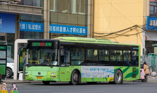 800BUS