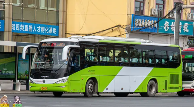800BUS
