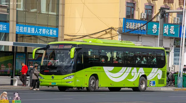 800BUS