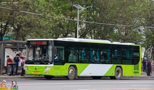 800BUS
