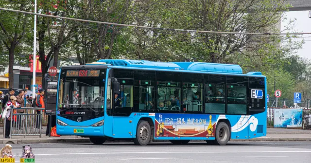 800BUS