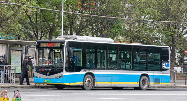 800BUS