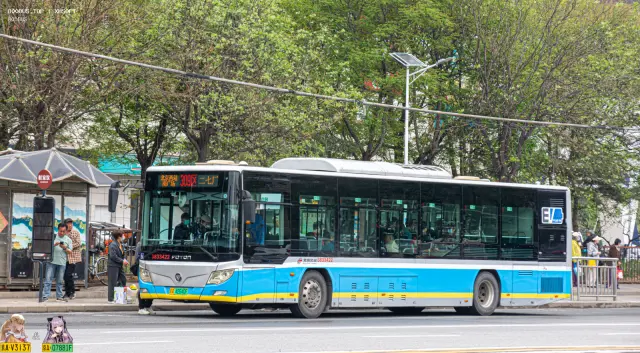 800BUS