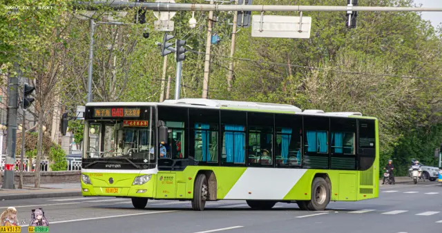 800BUS