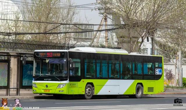 800BUS