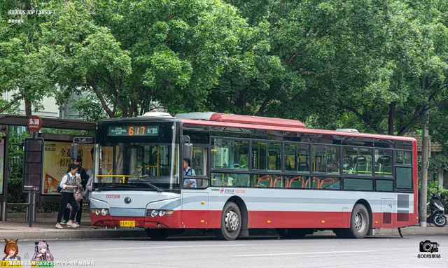 800BUS