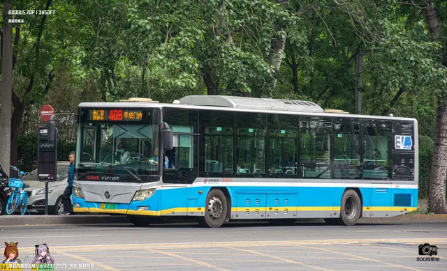 800BUS