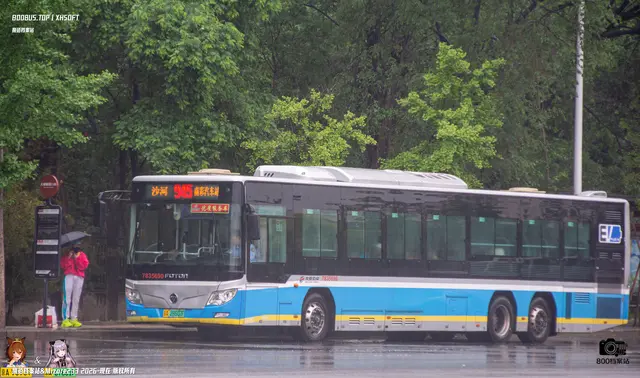 800BUS