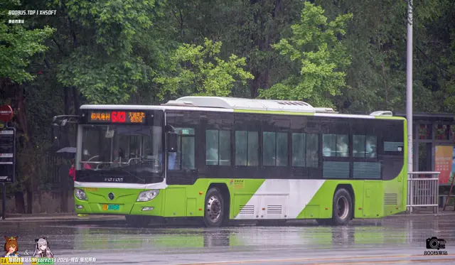 800BUS