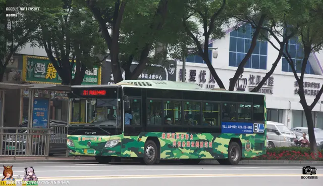 800BUS