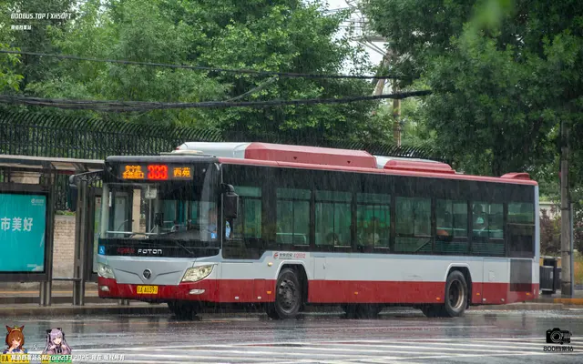 800BUS