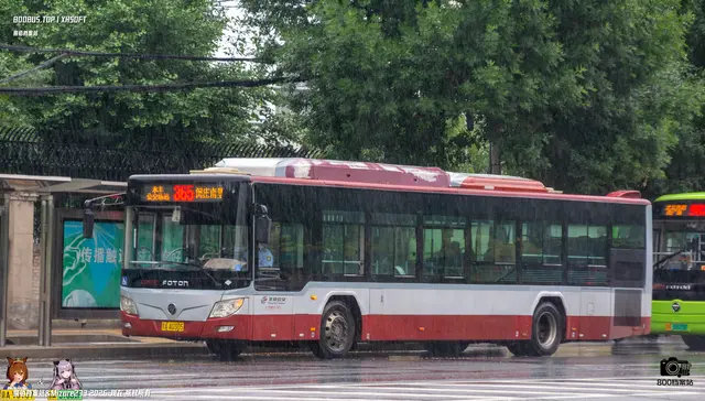 800BUS