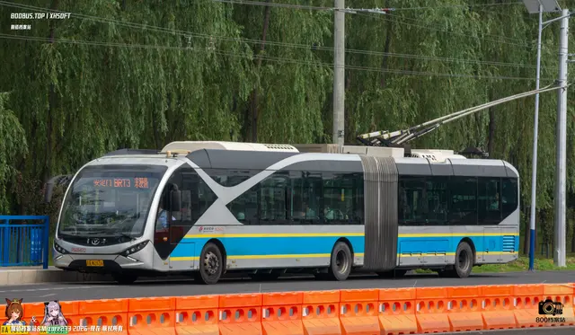800BUS