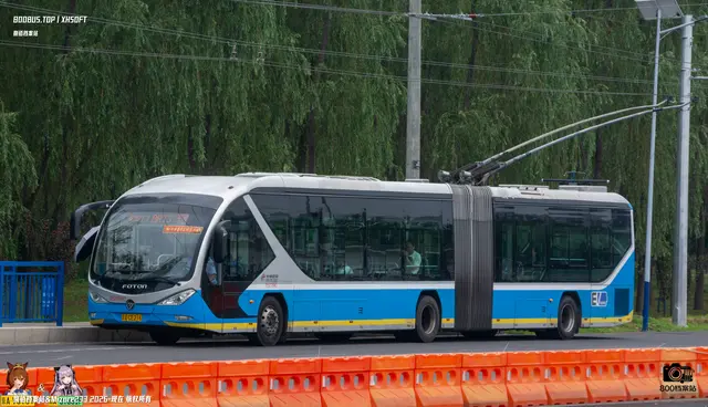 800BUS