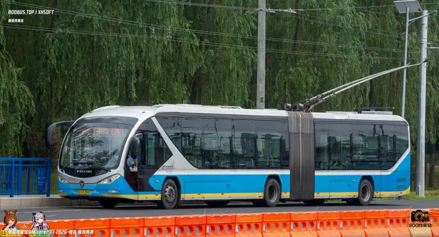 800BUS