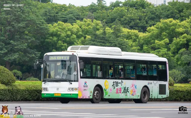 800BUS
