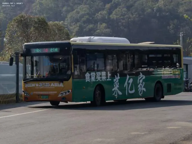 800BUS