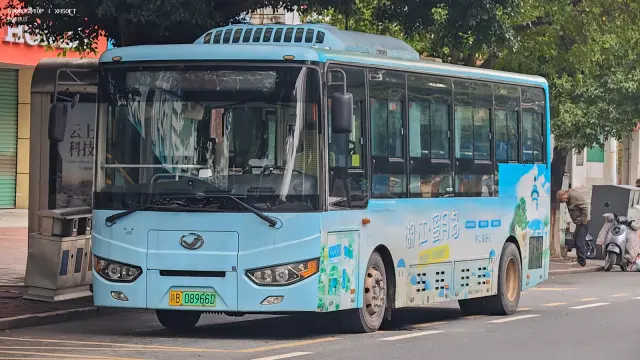 800BUS