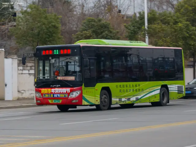 800BUS