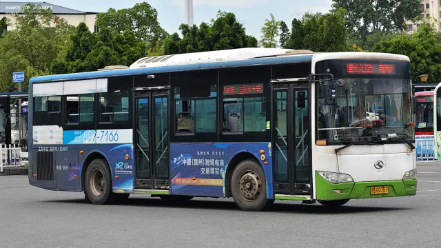 800BUS