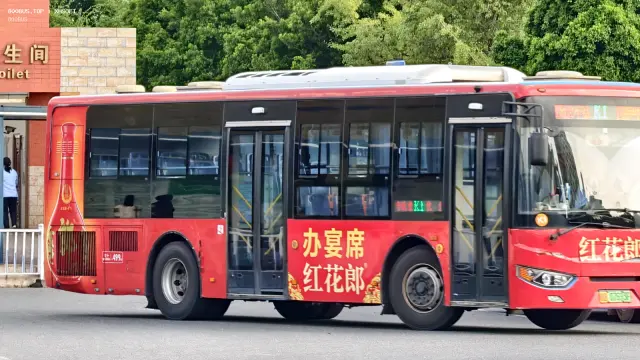 800BUS