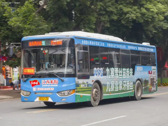 800BUS