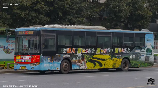 800BUS