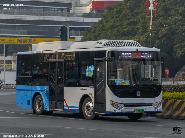 800BUS