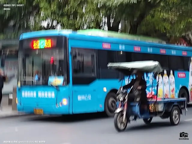 800BUS