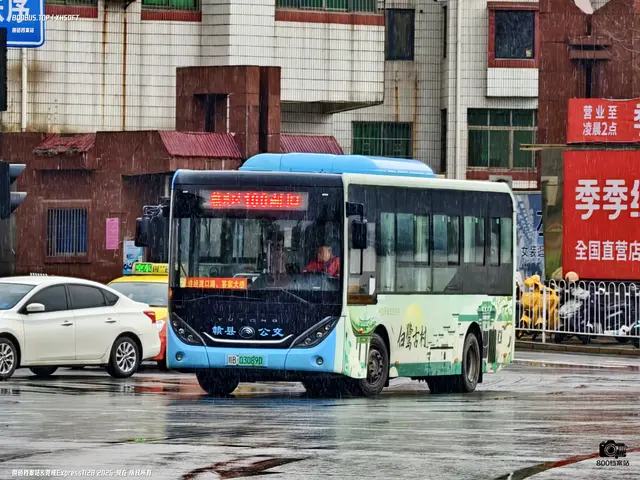 800BUS