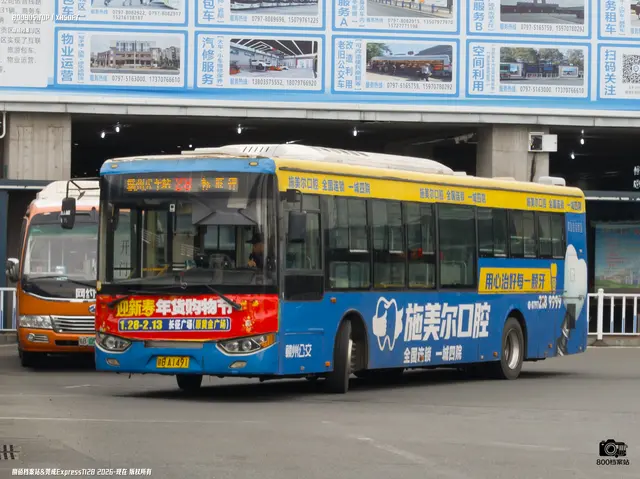 800BUS