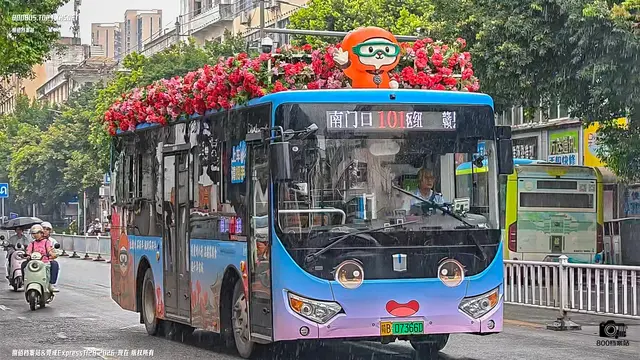 800BUS