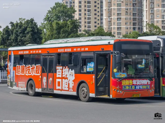 800BUS