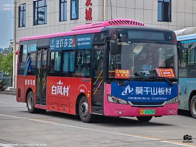 800BUS