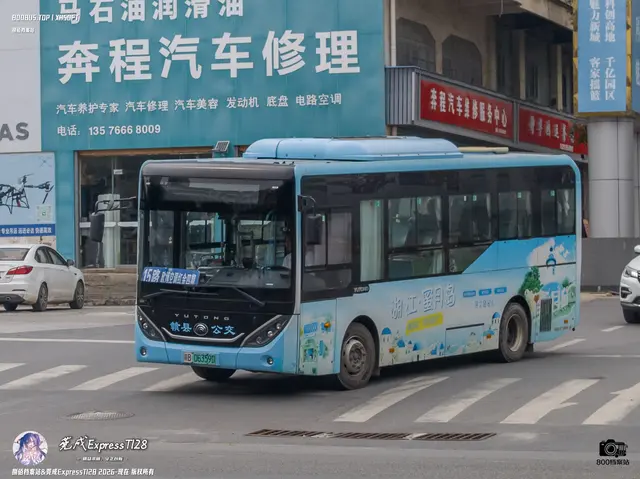 800BUS