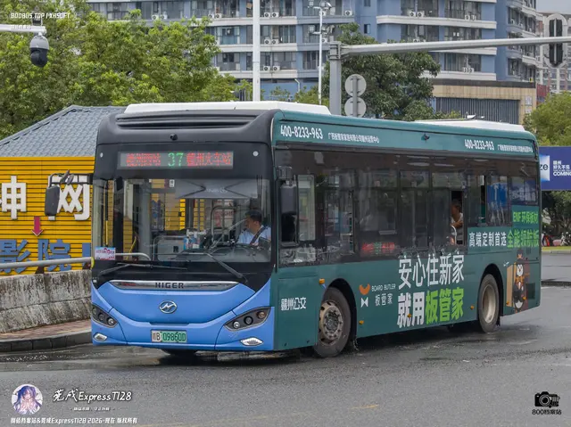 800BUS