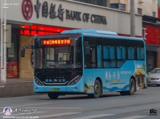 800BUS
