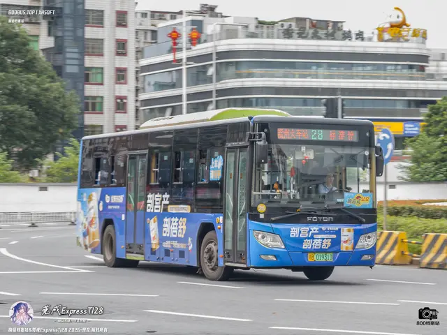 800BUS