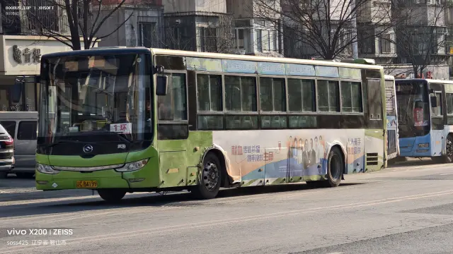 800BUS