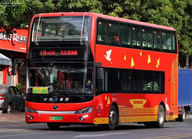 800BUS