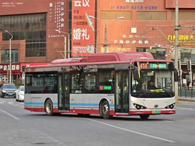 800BUS