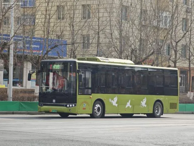 辽C 07533D