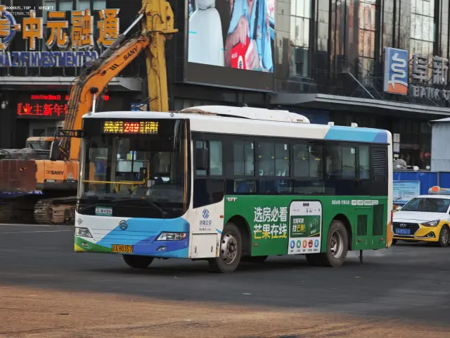 800BUS